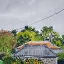 애월 어떤날 이미지