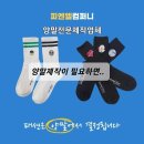 피앤엘컴퍼니 이미지