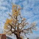 [찬샘통문 Ⅱ-34]놈 놈 놈…사람 사람 사람 이미지