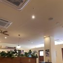 오렌지블루스 세종나성점 | [맛집]세종시 나성동 오렌지블루스 세종나성점