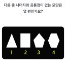 아이큐 160 이상만 볼수있는 모양 이미지
