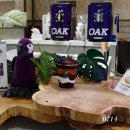 커스텀커피 파주운정점 | 운정 스타필드 아사이 볼 디저트 맛집 오크베리 시그니처 메뉴 후기