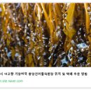 중앙건어물 네이버블로그