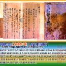 기묘제현 수첩 이미지