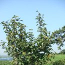 인영농장 이미지