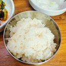 거진전통시장 | 거진 고성군 거진 전통시장 근처 비빔 막국수 맛집 막국수 일번지