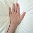 하얀이불 | 조선호텔 구스이불 세트 크라운구스 비교 솔직 후기