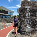 마을산책 | 제주 송당 동화마을 카페 산책 주차 정보 상세 후기