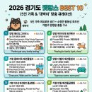 라팡미디어 | "평점 4.9이상만 모음! 경기도 펫캉스"