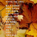 피플님 뵈려고 꽃들고 왔어요 ^^ 이미지