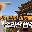 [한국의 산사] 보은 법주사(法住寺) 이미지