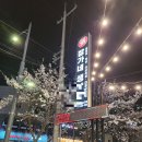 장가네생막창 | 초벌구이로 먹기좋은 장가네 생막창 :: 내돈내산 리얼후기