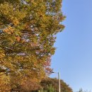 다락DA'RAK | [종로구/혜화] 낙산공원 남산뷰 루프탑 야장 한식주점 #다락