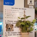 The(더)귀여워 이미지
