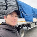 꽃무지 굼벵이 곤충사육농장으로 곤충먹이/ 곤충사료...발효톱밥 대량 납품 후기/ 굼벵이 효능/ 굼벵이...