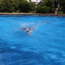 대아식당 이미지