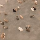 양양비치펜션 이미지