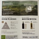 아침 공복올리브유추천 브루아오로엑스트라버진올리브오일 후기