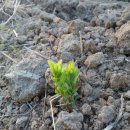 진호농장 이미지