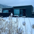 어싱사계 | 양평 독채 펜션 뮤트스톤 캠핑 숙소 다 즐길 수 있는 신상 감성숙소