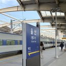 (주)호텔롯데 롯데시티호텔울산 | [울산] 롯데시티호텔 출장 숙소 후기 :: 대왕암공원 일산수산물판매센터