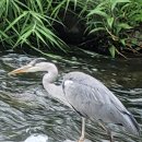 평강정형외과 이미지