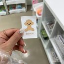 로힌(rohin) 이미지