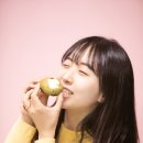 소피아(sophia)