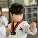 국가대표MAS태권도장 이미지