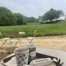 당진여행 1박2일 | 실치회 포장 꿀팁 with 우렁이식당, 카페피어라