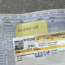 민들레쌈밥 | 시작부터 설렜다, 내 겨울 !