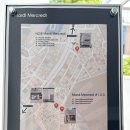 용산-이태-663 | 25FW MARDI MERCREDI·마르디 메크르디 한남 누아르 쇼룸 매장 후기