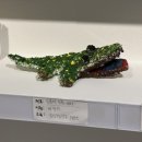 가야초교병설유치원 이미지
