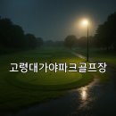 대가야읍 파크골프장 이미지