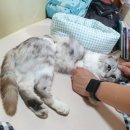 소담동물병원 이미지