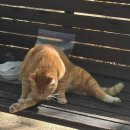 한나동물병원 | 금주(Not stop drinking)의 MOOD....