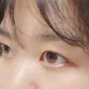 웬디브로우