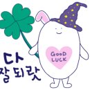 타로 심리 상담사 자격증반 이미지