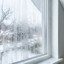 은빛약국 | 벽지 곰팡이 제거 방법 정리, 안전한 제거 순서와 관리법