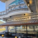 바닐라 애견샵 | 창원카페 | 애견동반가능한 메리스도넛샵