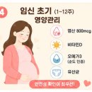 장기보룡약국 네이버블로그