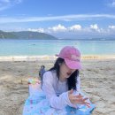 코타강쥐 | 코타키나발루 여행 1 - 호핑투어 마누칸섬 사피섬