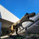 비봉 | 실내에서 공룡을 만나는 곳 보성 비봉공룡공원 후기 남겨요