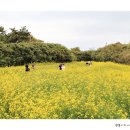 수성당 이미지