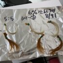 날나리헤어샵 네이버블로그