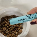 에이스유통 | 강아지유산균 : 에이스 프로바이오틱스 내돈내산 6박스 후기🐕