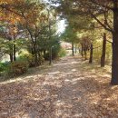 고개쉼터 이미지