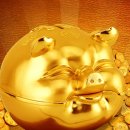 돼지의 족보 이미지