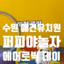 도그헤어 | 수원 애견유치원 퍼퍼야놀자 "에어로빅 데이" 도그피트니스와 귀여운 포토데이까지!