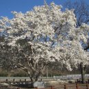 석교초등학교 이미지